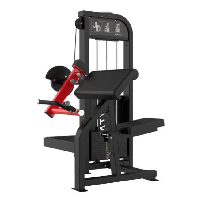Biceps Curl Machine best