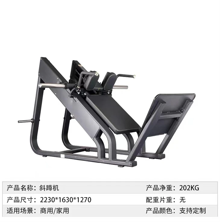 Incline Leg Squat Machine best